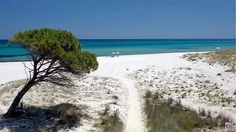 بيت ضيافة Le Residenze Del Mare Affittacamere لا كاليتا إيطاليا